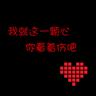 宠物知识文案